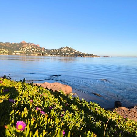 Vacances En Paradis Saint-Raphael  Luaran gambar