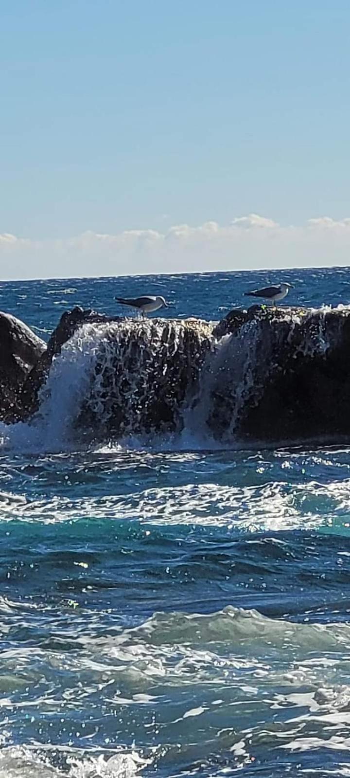 Vacances En Paradis Saint-Raphael  Luaran gambar