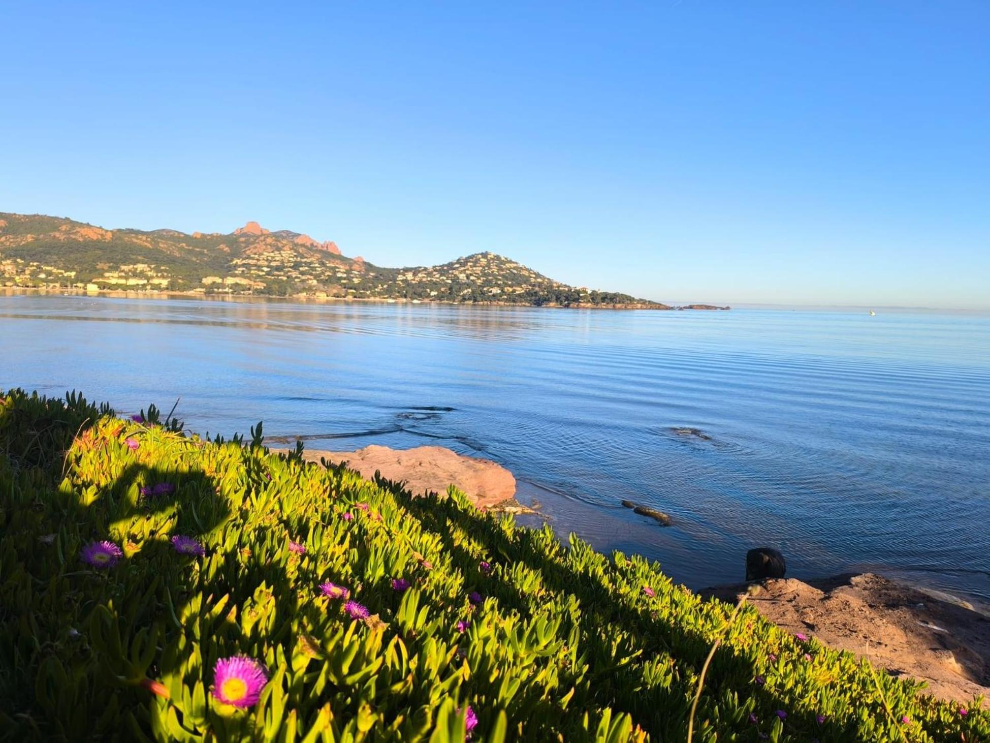Vacances En Paradis Saint-Raphael  Luaran gambar
